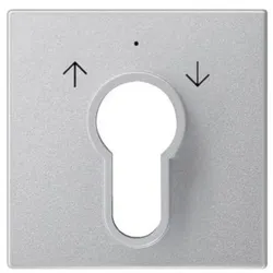 Gira Zentralpl. Schlüssel. alu 066426