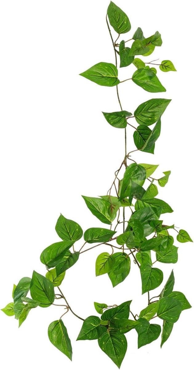 Eco Collection Kunstmatige Pothos klimop slinger - Groen - 55 cm