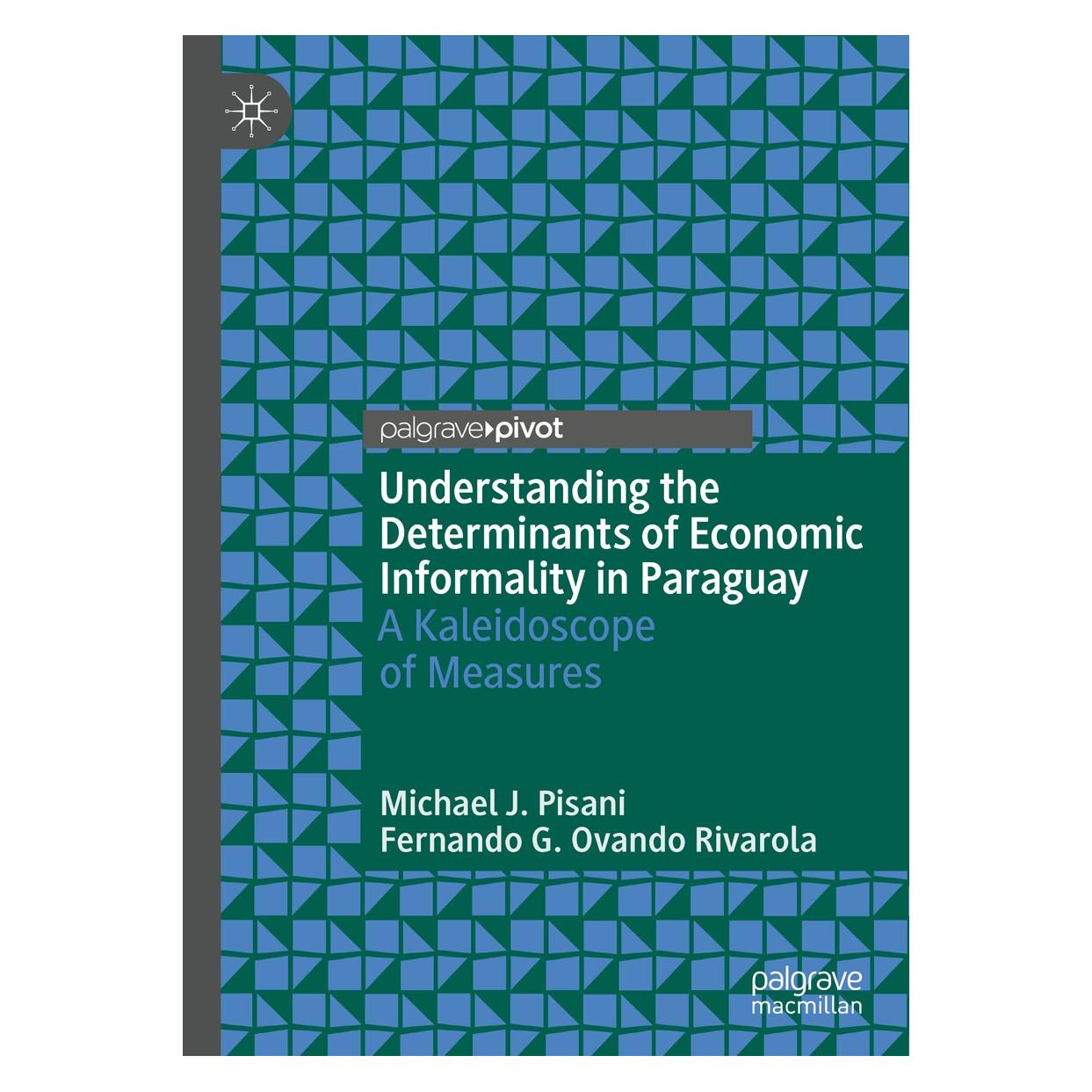 Springer Understanding the Determinants of Economic Informality in Paraguay (Englisch, Hardcover, Fernando G. Ovando Rivarola, Michael J. Pisani) (9783030243920)