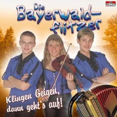 Klingen Geigen,Dann Gehts Auf - Die Bayerwaldflitzer, CD