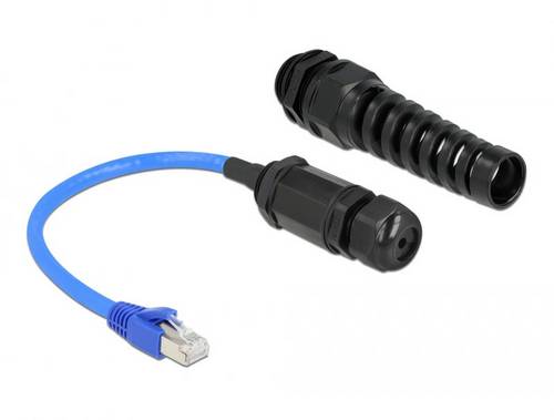 Delock 66809 RJ45 Patchkabel CAT 6 SF/UTP 0.25m Schwarz, Blau 1St.