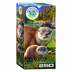 eurographics Puzzle - Otter - 250 Teile 301273
