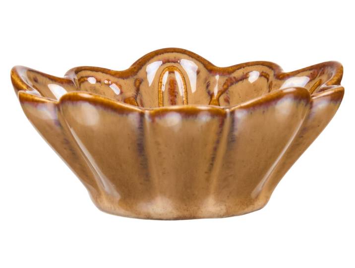 Muschelschale