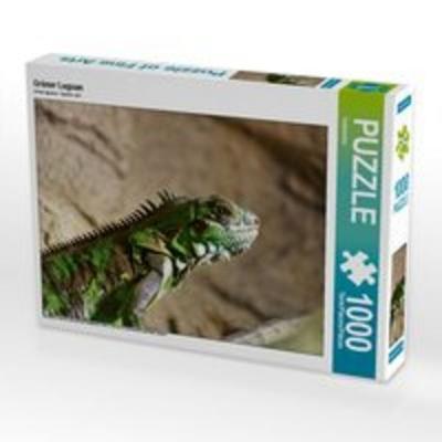 CALVENDO Puzzle Grüner Leguan 1000 Teile Lege-Größe 64 x 48 cm Foto-Puzzle Bild von Kattobello