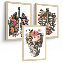 POSTER Set aus 3 Anatomie Mensch Drucke und mit Lungen Luftröhre Bronchien Rippen Wirbelsäule und Schädel Modernes Florales Größe Rahmenlos A4
