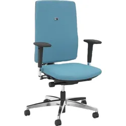 Viasit Linea Polsterrücken 52cm