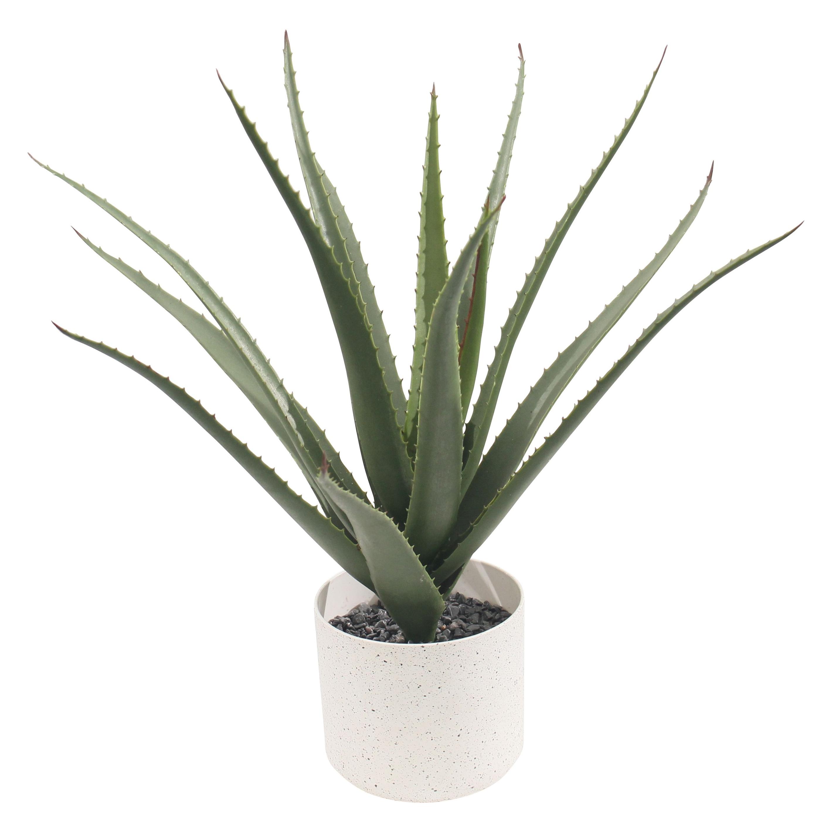 Paperflow Aloe Vera (45 cm) (PAALOE45)