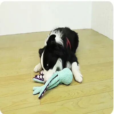 Discount Dollar Deals Plush Octopus Interactive Pet Toy, Dog Pet Boring Companion Toy For Big And Small Dogs Plush Octopus Interactive Pet Toy, Dog Pet Boring Companion Toy For Big And Small Dogs