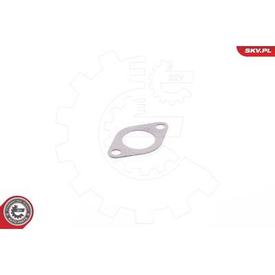 ESEN SKV Dichtung, AGR-Ventil 14SKV110 für VW