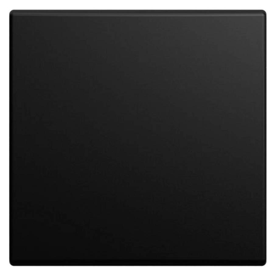 Busch-Jaeger Wippe (2CKA001434A0665)