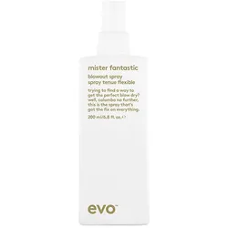 200ml Evo Mister Fantastic Blowout Spray