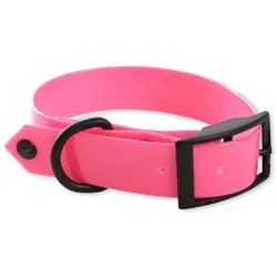 Martin Sellier Tpu (25, Hund, Spazieren), Halsband + Leine