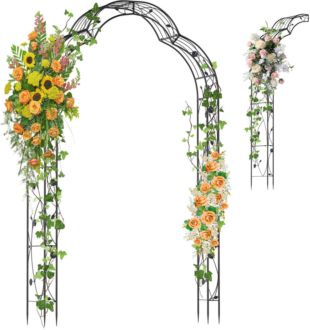 17 Stories 154cm W x 39cm D Metal Arbour in Black Black 248cm H X 154cm W X 39cm D