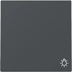 Gira Wippe Symb. Licht Anthrazit 328528