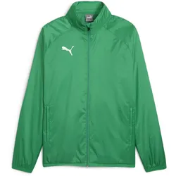 PUMA teamGOAL Allwetterjacke Herren 05 - sport green/puma white M