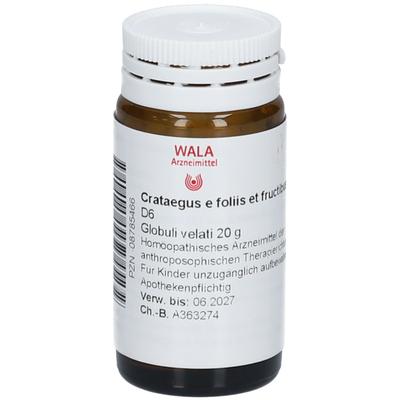 Crataegus E foliis et fructibus D 6 Globuli 20 g