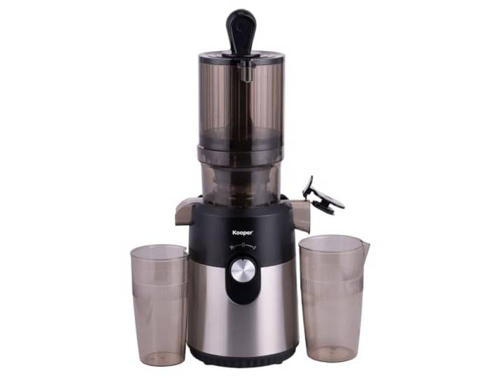 GALILEO Entsafter Schwarz und Silber mit Umkehrfunktion, 500 ml, 200 W