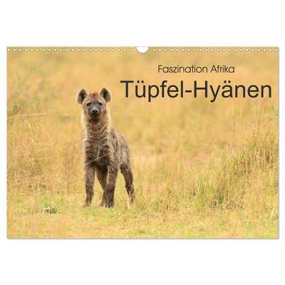 Faszination Afrika: Tüpfel-Hyänen (Wandkalender 2026 DIN A3 quer), CALVENDO Monatskalender