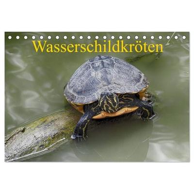 Wasserschildkröten (Tischkalender 2027 DIN A5 quer), CALVENDO Monatskalender