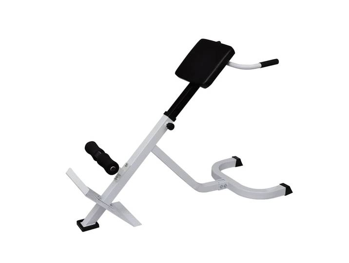 vidaXL Rücken- und Bauchtrainer