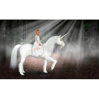 Fototapete PAPERMOON "Einhorn Hoffnung Liebe Frieden", bunt, B:4m L:2,6m, Vlies, Tapeten