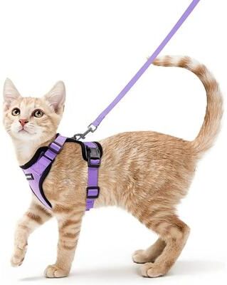 Inspired Finds SafePaws Escape Proof Reflective Cat Harness & Leash Set violet s