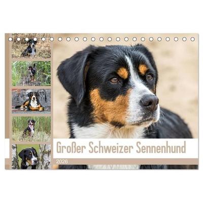 Großer Schweizer Sennenhund (Tischkalender 2026 DIN A5 quer), CALVENDO Monatskalender