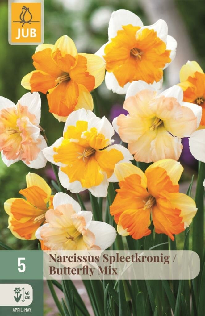 Jub Narcis spleetkronige mix 5 bollen