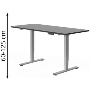 FlexiSpot Schreibtisch E5S, schwarz / grau, elektrisch höhenverstellbar, 160 x 60-125 x 80 cm