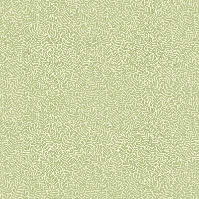 A-Street Prints Anna Light Green Fern Trail Wallpaper