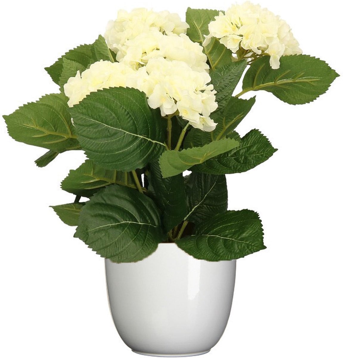 Witte kunsthortensia in een glanzende witte pot, hoogte: 36 cm