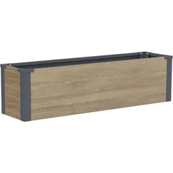 Westmann Pflanzkasten Talus M Holzoptik   25x100x27cm