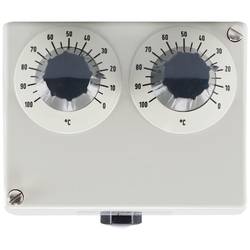 Jumo 60000486 2-Punkt-Regler Doppelthermostat 125 °C (max.) Relais 10 A