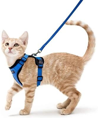 Uplifted Finds ATUBAN Escape Proof Cat Harness And Leash Set With Breathable Reflective Vest blue xs