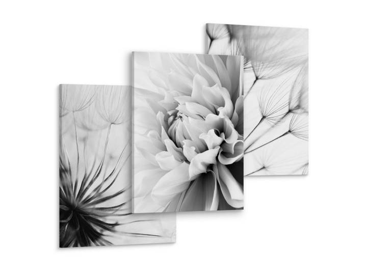 LEINWANDBILDER 3-er Set Pflanzen Natur