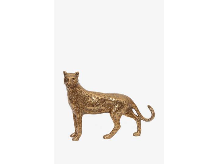 Goudkleurige leopard