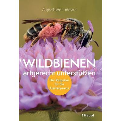 Wildbienen artgerecht unterstützen, Taschenbuch von Angela K. Niebel-Lohmann, Haupt Verlag, 978-3-258-08239-4