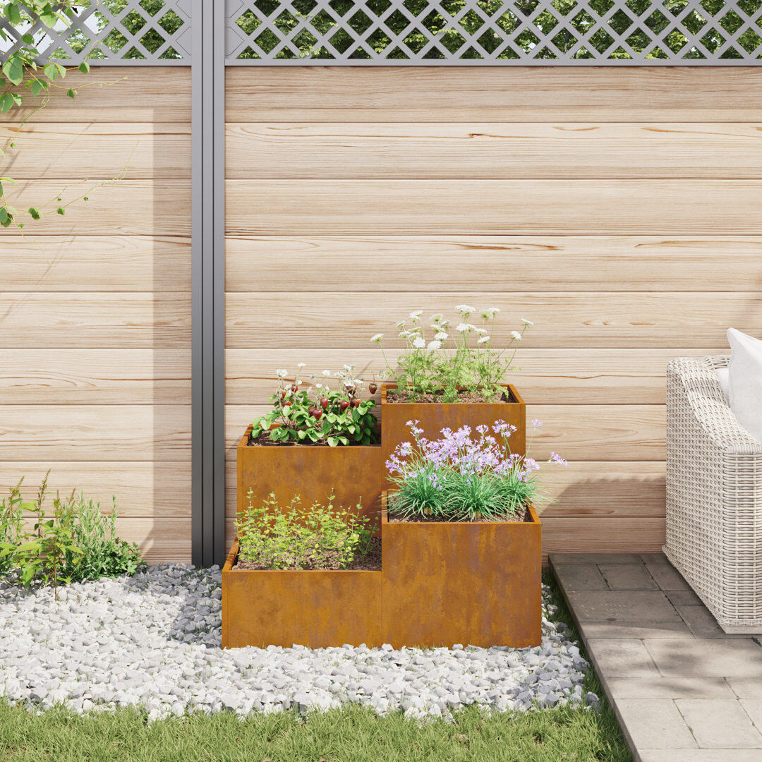 Ebern Designs Planter Box Brown 60cm H x 100cm W x 100cm D