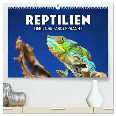 Reptilien - Tierische Farbenpracht (hochwertiger Premium Wandkalender 2027 DIN A2 quer), Kunstdruck in Hochglanz