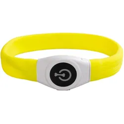 Duvoplus Flash Maxi (Hund, Spazieren), Halsband + Leine