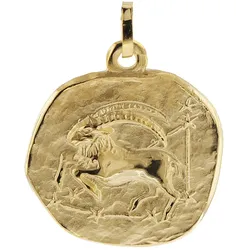 trendor 08982-01 Sternzeichen-Anhänger Steinbock 333 Gold 20 mm