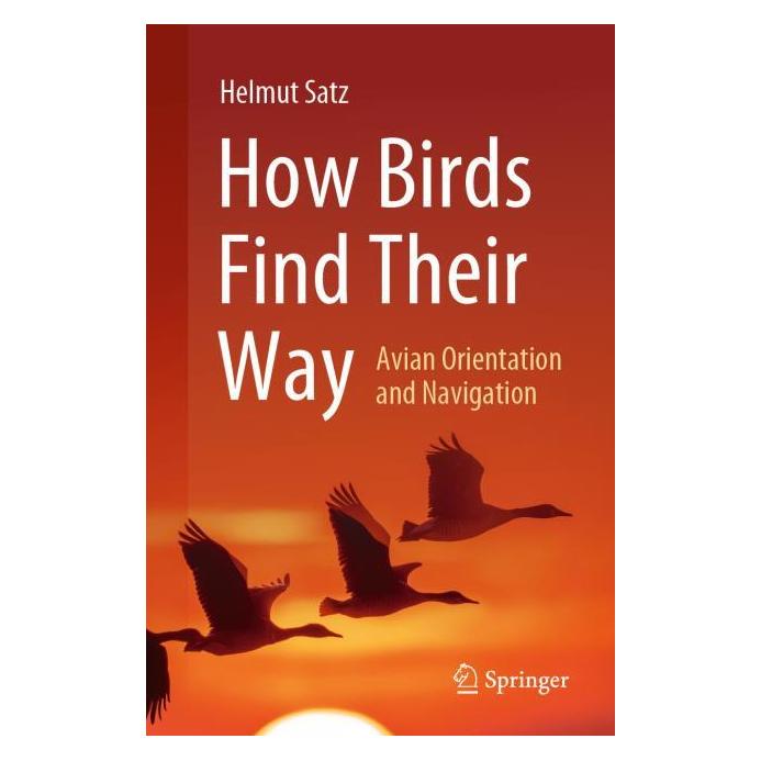 Springer How Birds Find Their Way (Englisch, Helmut Satz) (58160154)