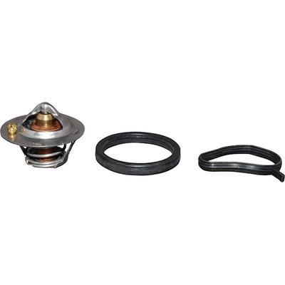 JP GROUP Thermostat, Kühlmittel 1514600810 für Ford Volvo MAZDA