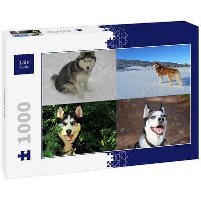 Lais Puzzle Collage Husky 1000 Teile