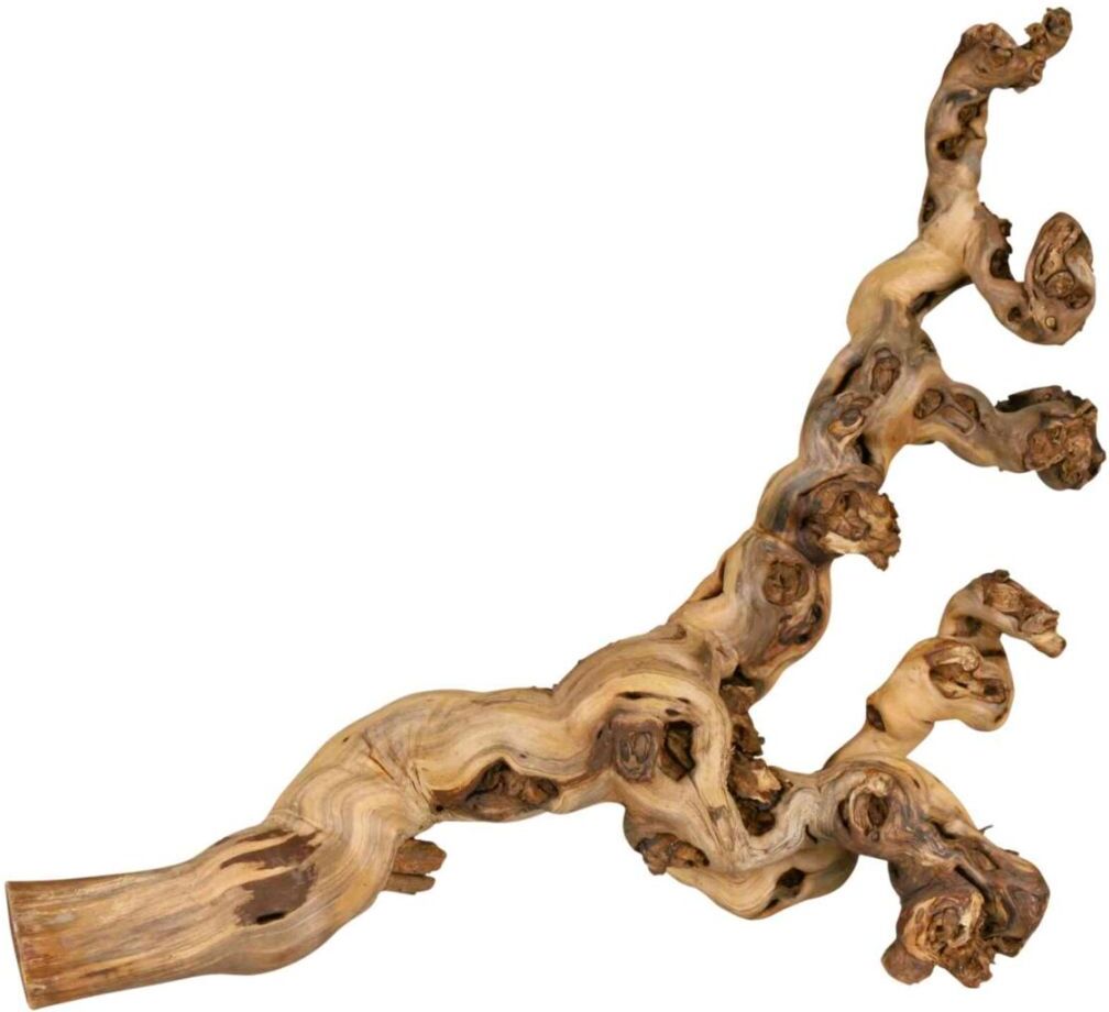 TRIXIE Weinrebe, wassergestrahlt, XL: 55–80 cm