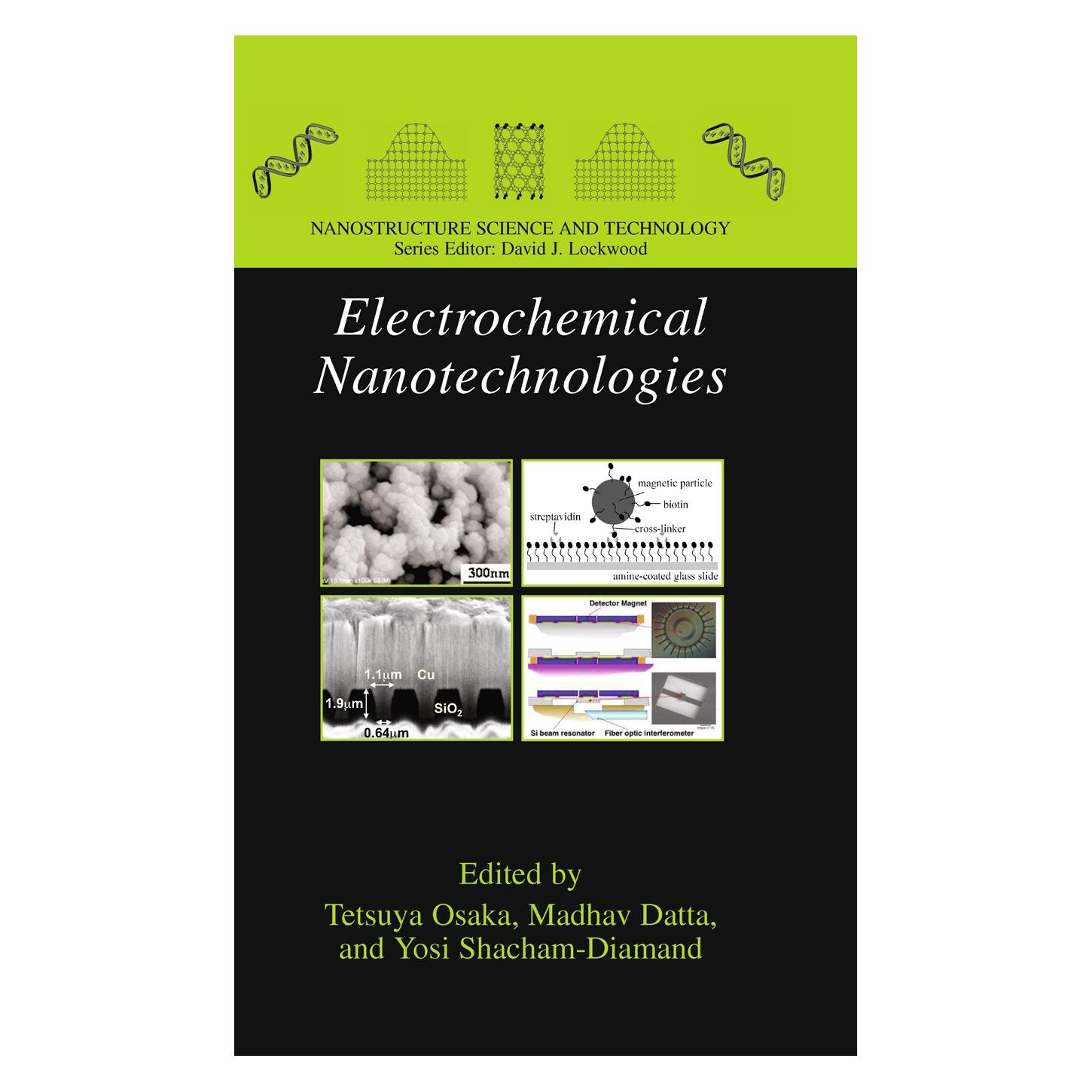 Springer Electrochemical Nanotechnologies (Englisch, Hardcover, Madhav Datta, Tetsuya Osaka, Yosi Shacham-Diamand) (9781441914231)