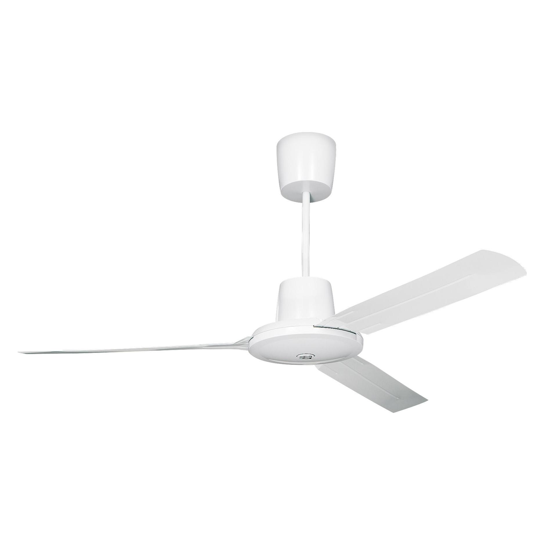 Vortice Evolution (61753)