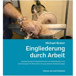 Eingliederung durch Arbeit, Fachbücher von Michael Brater