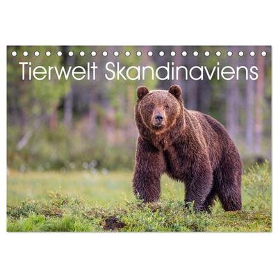 Tierwelt Skandinaviens (Tischkalender 2026 DIN A5 quer), CALVENDO Monatskalender