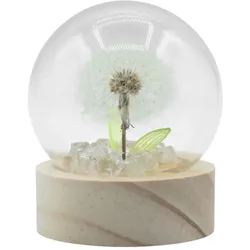 Floral Glow Garden Dome - 1 Dandilion- LED Battery